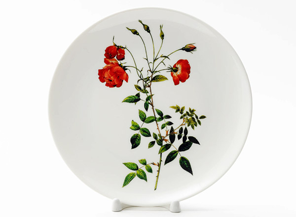 Decorative plate Redoute Pierre-Joseph Shrubby rose