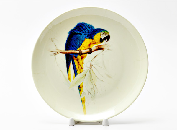 Decorative plate Lear Edward Blue and yellow macaw