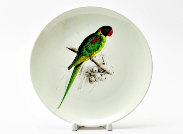 Декоративная тарелка Лир Эдвард Ожереловый попугай зеленый