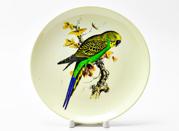 Decorative plate Lear Edward Budgie with a blue tail