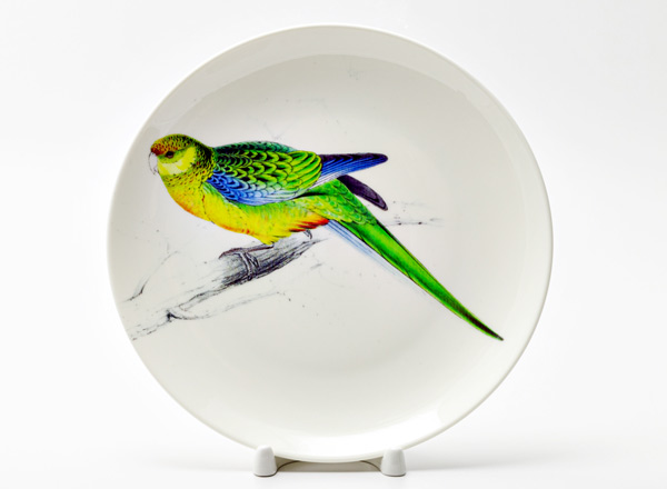 Decorative plate Lear Edward Rosella the Parrot