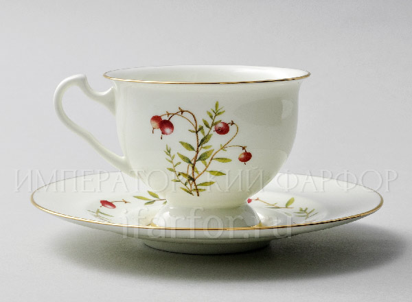 Чашка с блюдцем чайная Цветы и ягоды. Клюква Айседора
