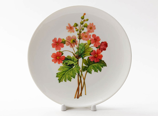 Декоративная тарелка Редуте Пьер-Жозеф Китайский первоцвет