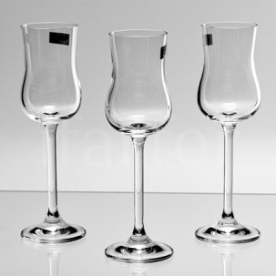 Набор рюмок для граппы Colibri Gastro 6/6 Crystalite Bohemia