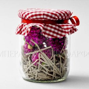 Елочная игрушка Малина в банке (6 шт.)