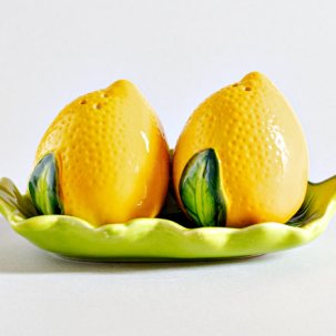 Набор для специй 2 предметный Лимоны Repast 180 x 65 x 150 мм.