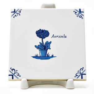 Изразец Голландский. Руккола