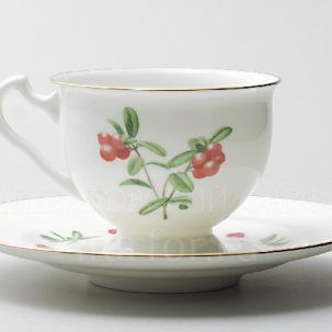 Чашка с блюдцем чайная Цветы и ягоды. Брусника 1/2 Айседора