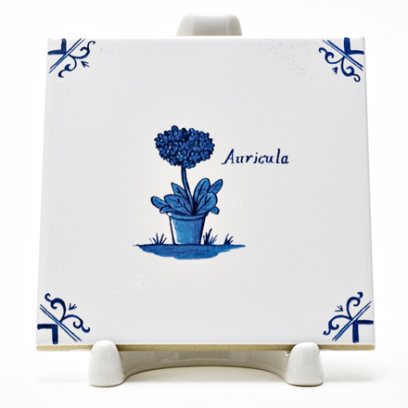 Изразец Голландский. Руккола