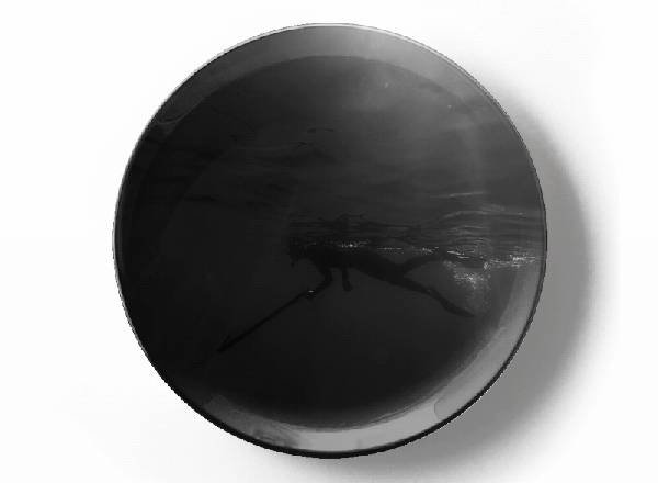 Подводная охота