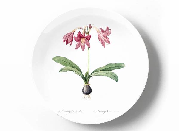 Декоративная тарелка Пьер Жозеф Редуте Амариллис сетчато выпуклый