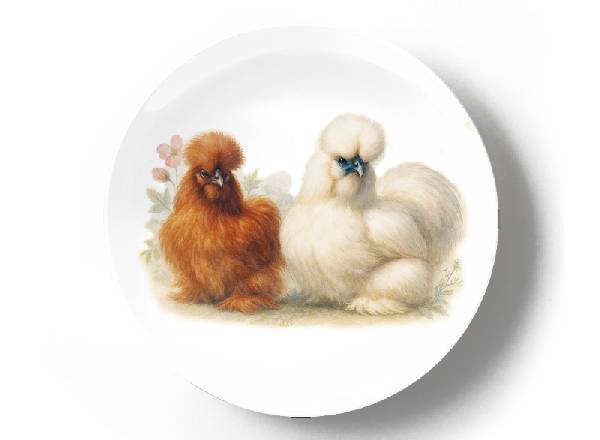 Курица и петух Китайская порода