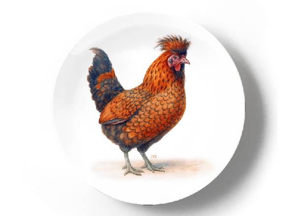 Павловская курица