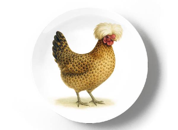 Павловская лохматая курица