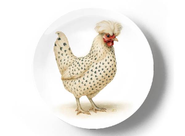 Павловская белая курица
