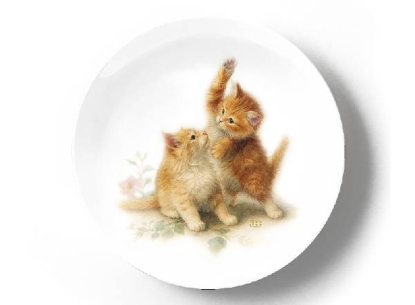 Котята дерутся