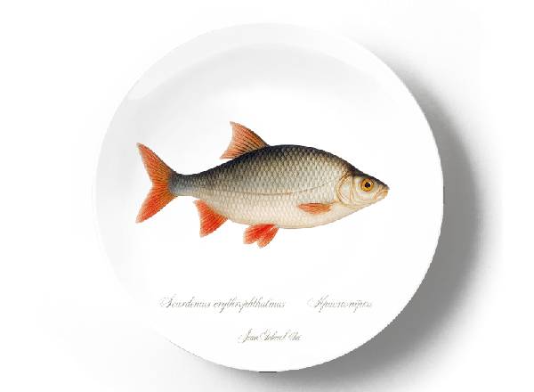 Красноперка