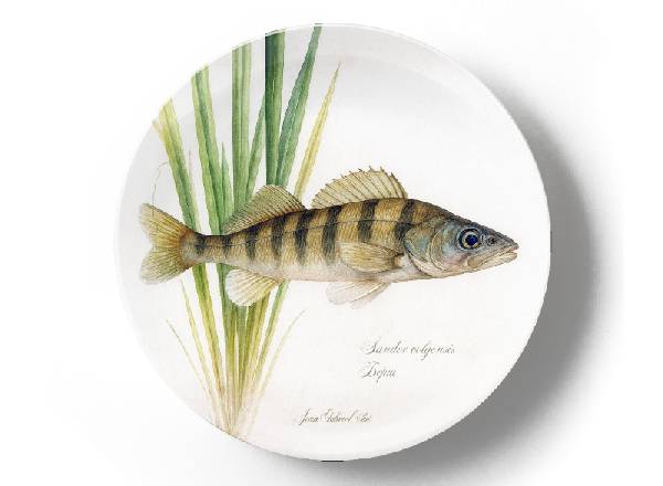 Берш в траве