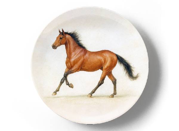 Арабская скаковая