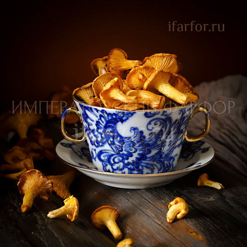 Форма Соло