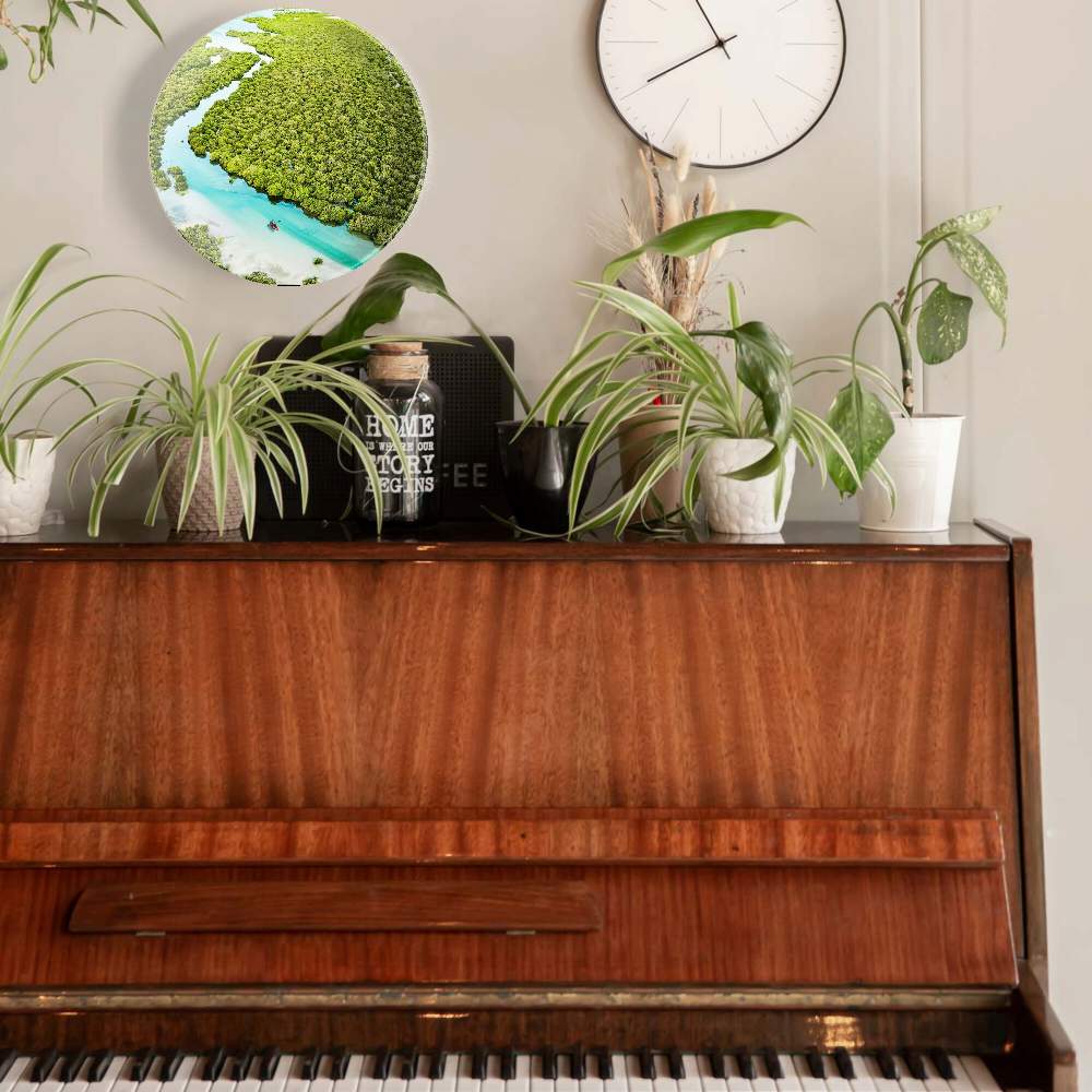 Соленая река — Эрик Алмас