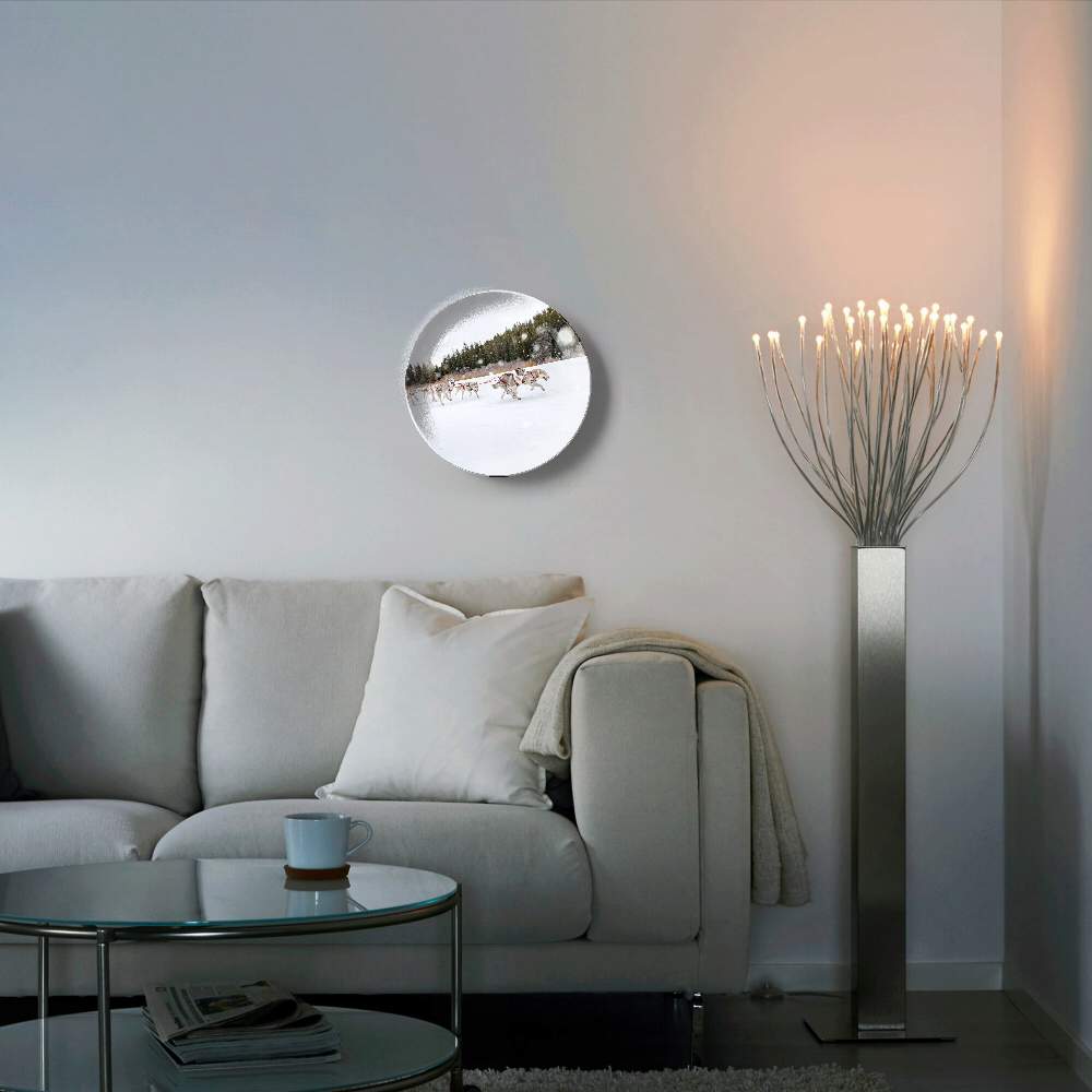 Собачья упряжка — Пит Барретт