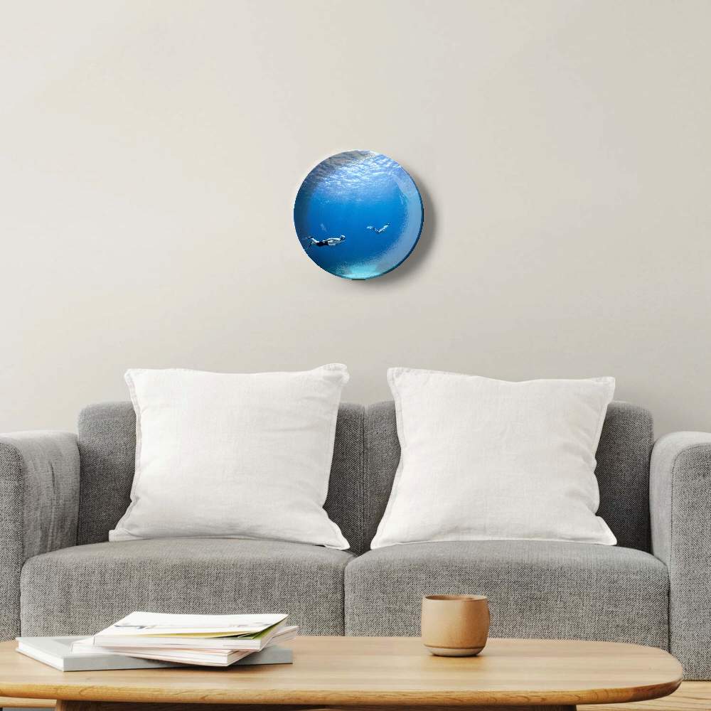 Под водой — Пит Барретт