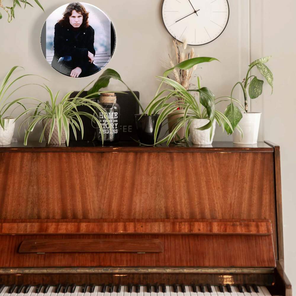 Джим Моррисон — The Doors