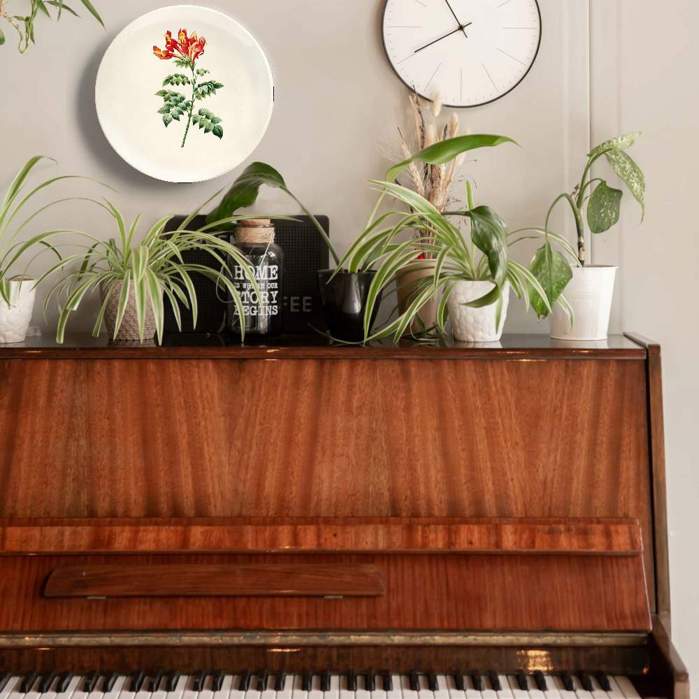 Бигнония капская — Пьер Жозеф Редуте