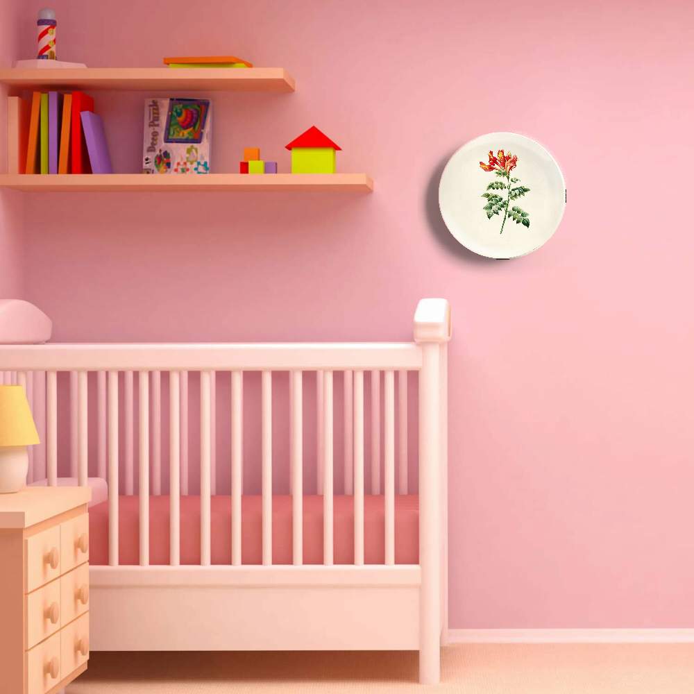 Бигнония капская — Пьер Жозеф Редуте