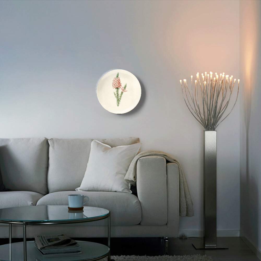 Сушеный ранункулюс — Пьер Жозеф Редуте