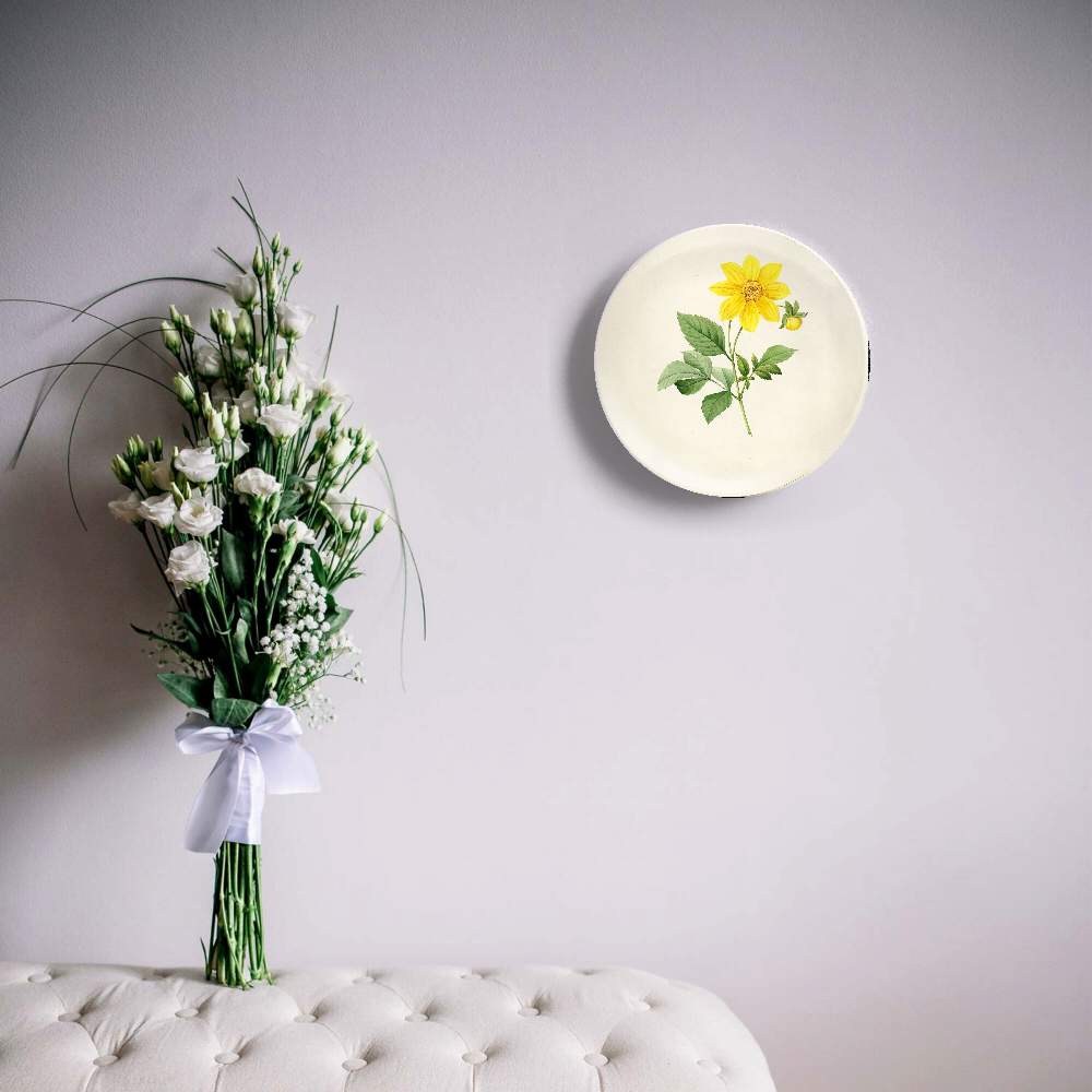 Роза центифолия буллата — Пьер Жозеф Редуте