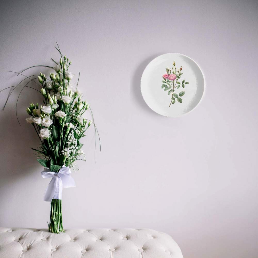 Мшистая помпонная роза — Пьер Жозеф Редуте