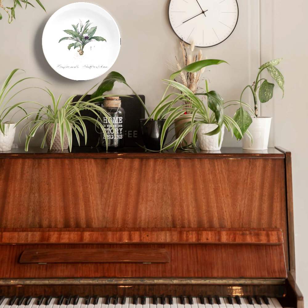 Каемпферия — Пьер Жозеф Редуте