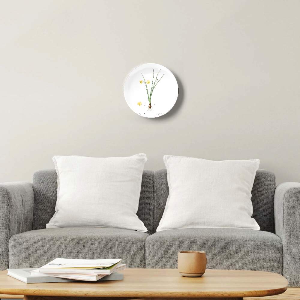 Роялти Фри Нарцисс — Пьер Жозеф Редуте