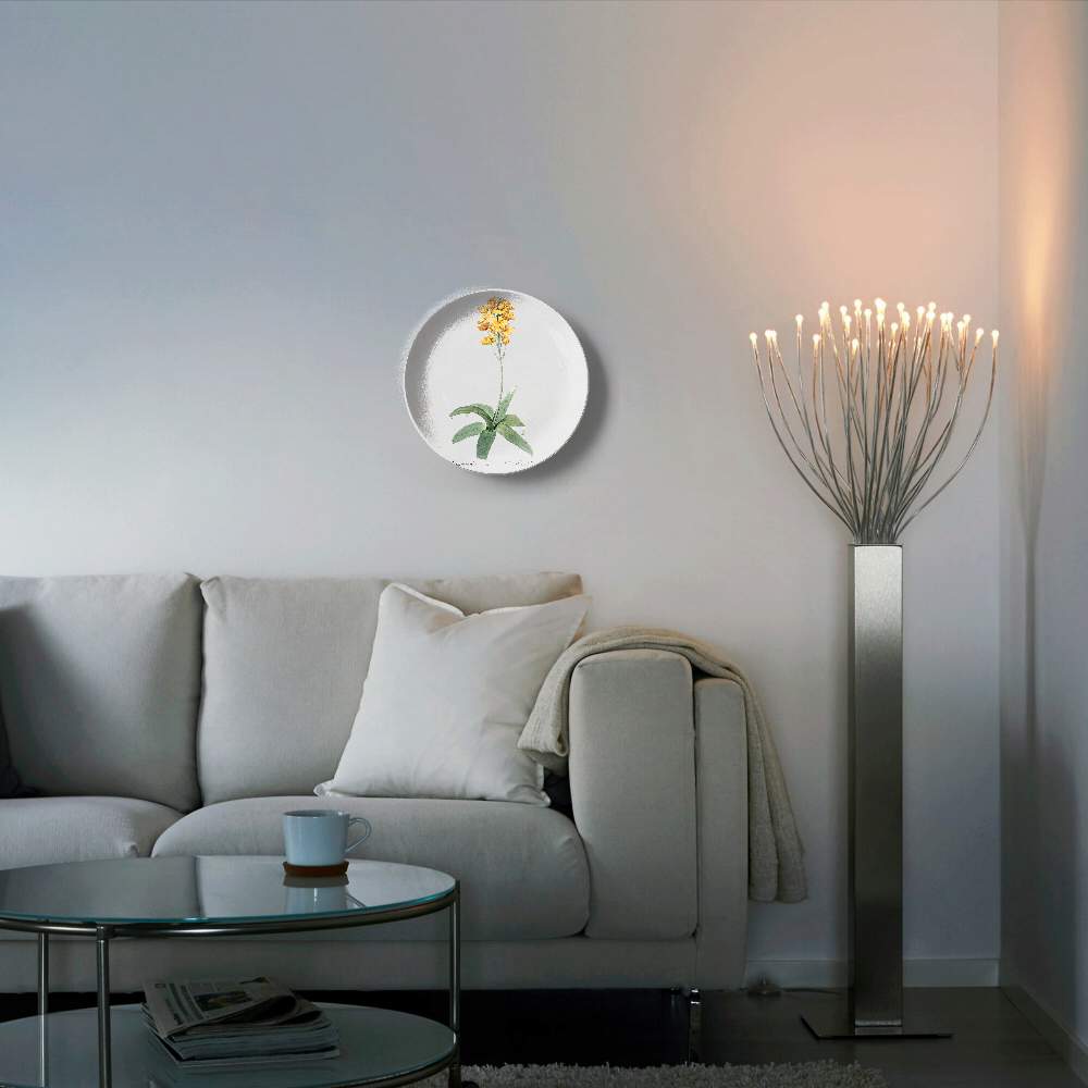 Орнитогалум — Пьер Жозеф Редуте