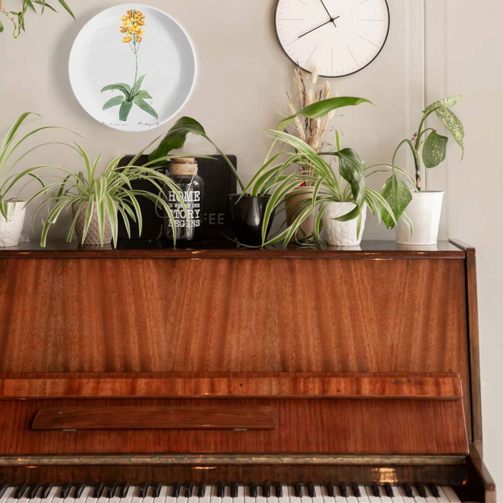 Орнитогалум — Пьер Жозеф Редуте