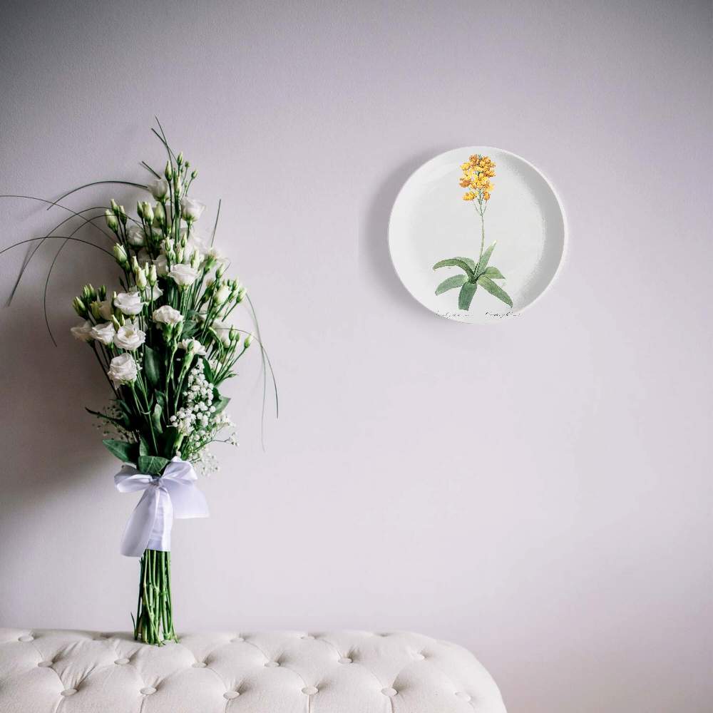 Орнитогалум — Пьер Жозеф Редуте