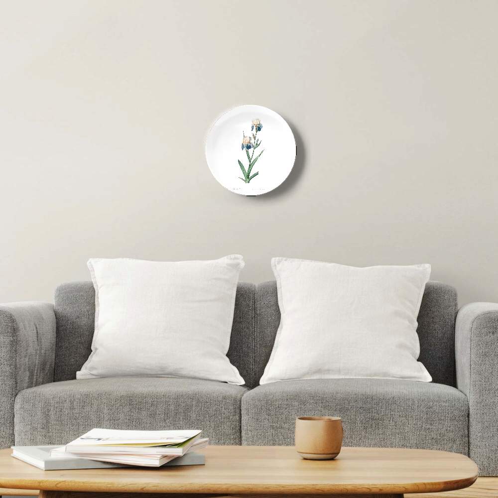 Ирис Sambucina — Пьер Жозеф Редуте