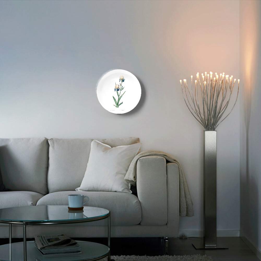 Ирис Sambucina — Пьер Жозеф Редуте