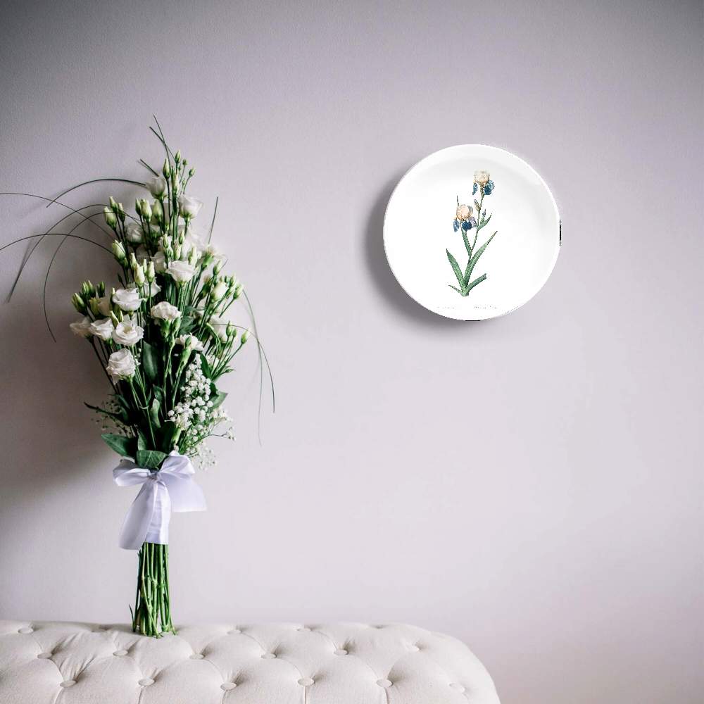 Ирис Sambucina — Пьер Жозеф Редуте