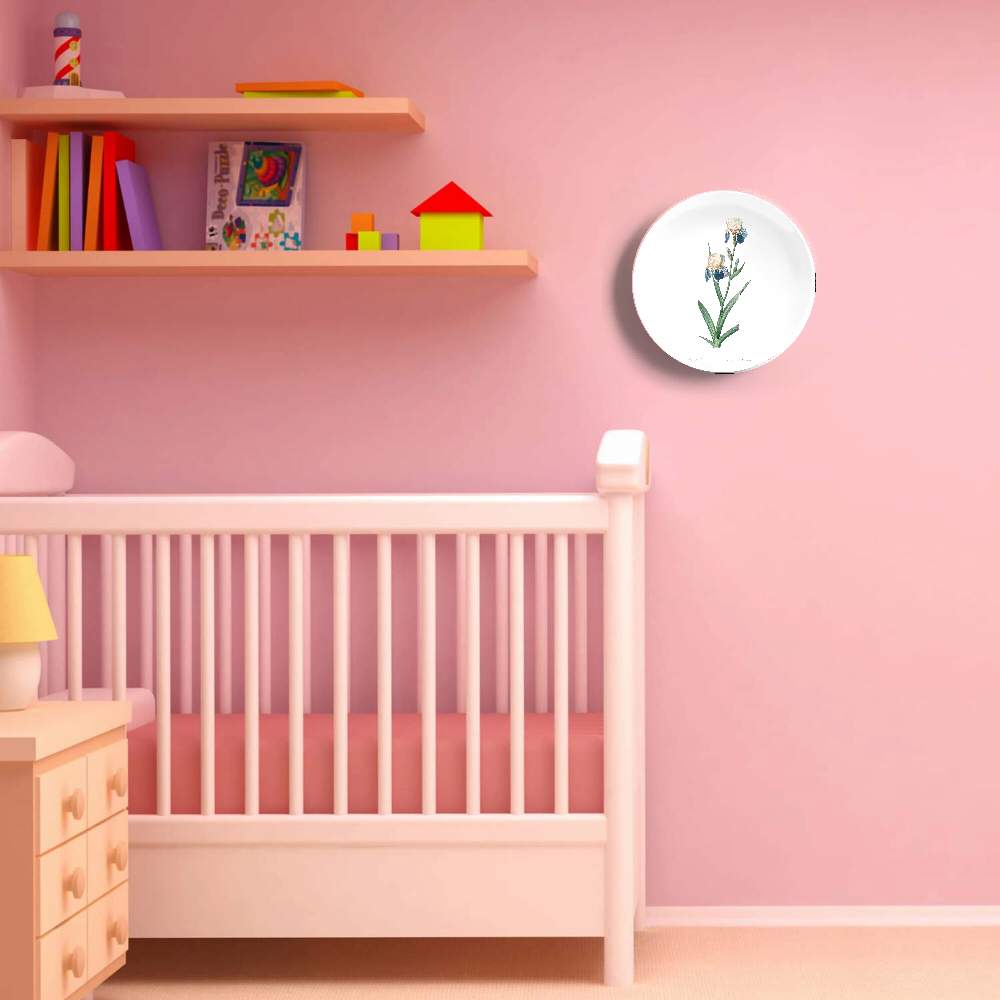 Ирис Sambucina — Пьер Жозеф Редуте