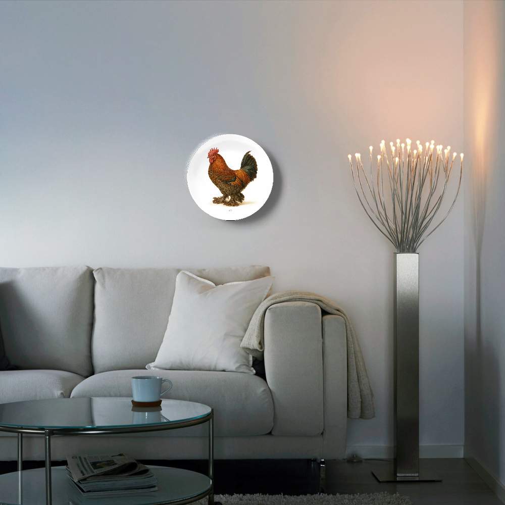 Бентамка петух — Жан Габриэль Ги