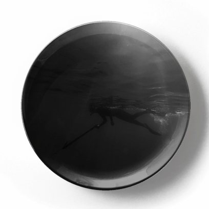 Декоративная тарелка Камерон Карстен Подводная охота