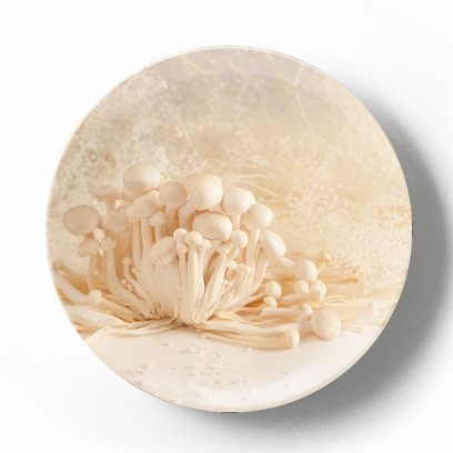 Декоративная тарелка Изабелла Кассини Грибное царство