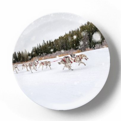 Декоративная тарелка Пит Барретт Собачья упряжка
