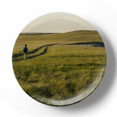 Декоративная тарелка Пит Барретт Прогулка по полю