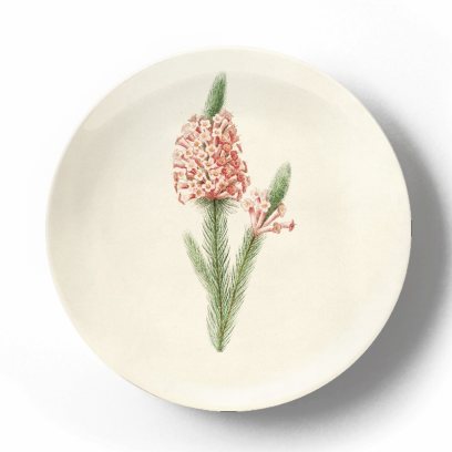 Декоративная тарелка Пьер Жозеф Редуте Сушеный ранункулюс