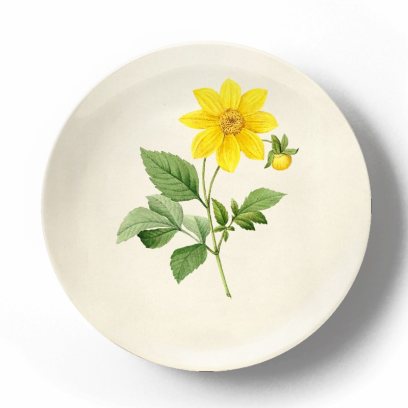 Декоративная тарелка Пьер Жозеф Редуте Роза центифолия буллата