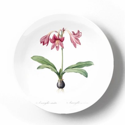Декоративная тарелка Пьер Жозеф Редуте Амариллис сетчато выпуклый